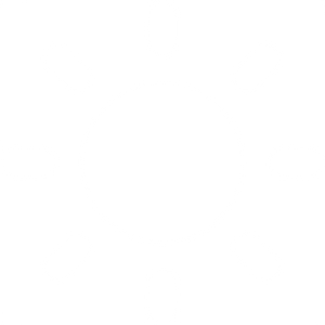 Polarized Vision